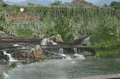 CHN_1804