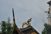 CHN_2010