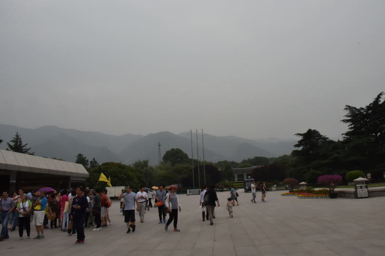 CHN_2051-Small