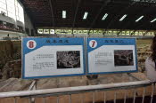 CHN_2072-Small