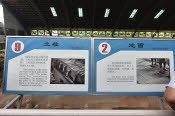 CHN_2074-Small