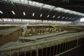 CHN_2101-Small