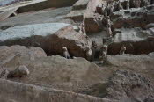 CHN_2104-Small