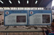 CHN_2106-Small