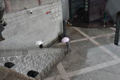 CHN_2234-Small