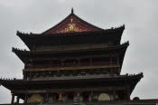 CHN_2235-Small