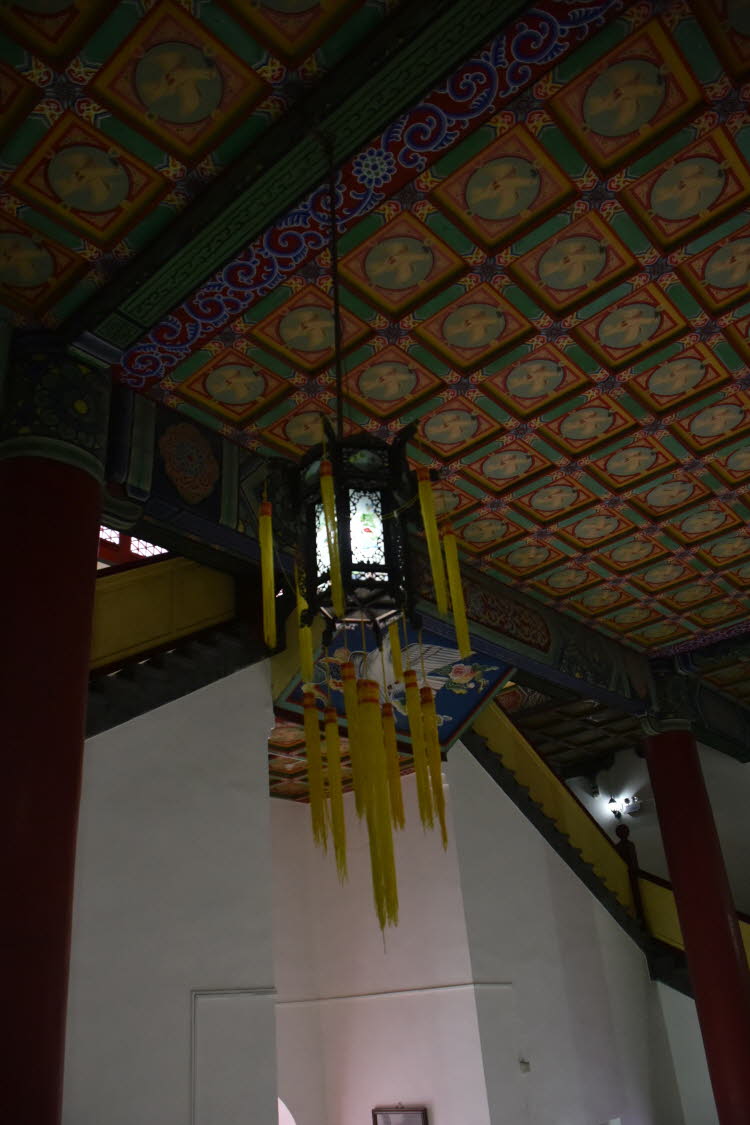 CHN_2282-Small