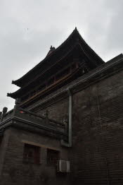 CHN_2298-Small