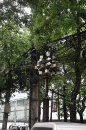CHN_2309-Small