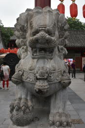 CHN_2444-Small