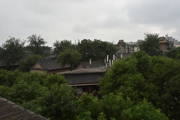 CHN_2456-Small
