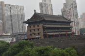CHN_2462-Small