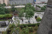 CHN_2463-Small
