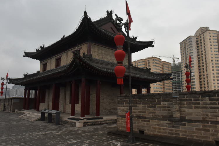 CHN_2464-Small