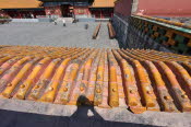 CHN_2809