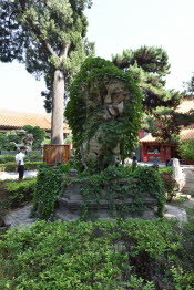CHN_2816