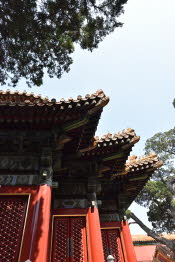 CHN_2819