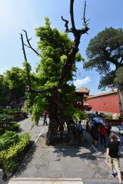 CHN_2823