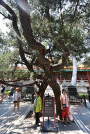 CHN_2836