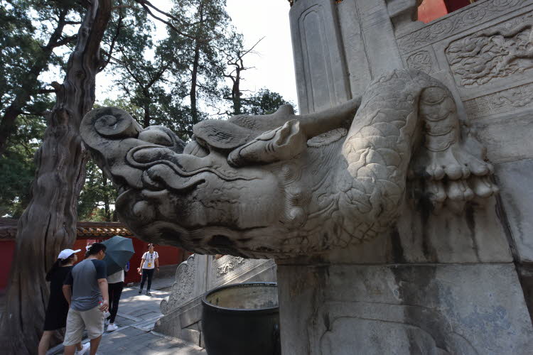 CHN_2839