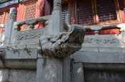 CHN_2845