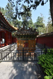 CHN_2849