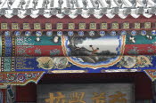 CHN_2874