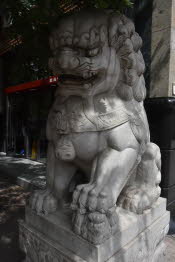 CHN_2877