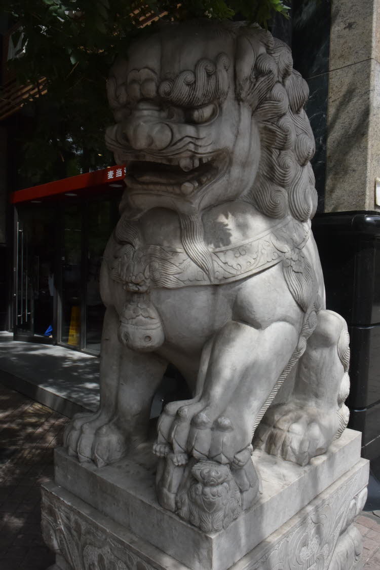 CHN_2877