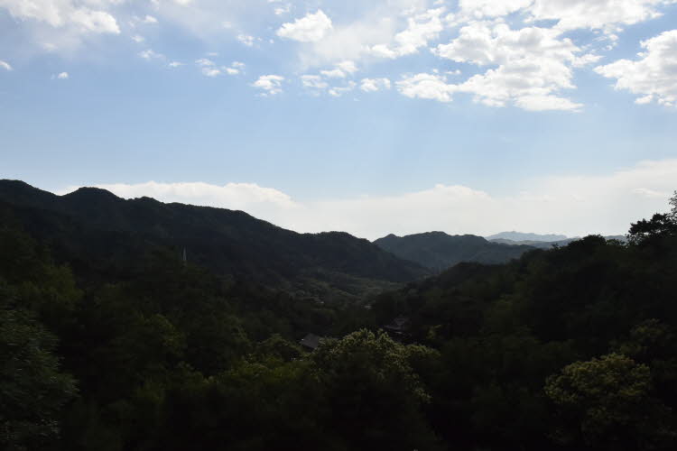 CHN_2908