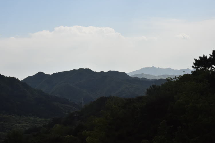 CHN_2910