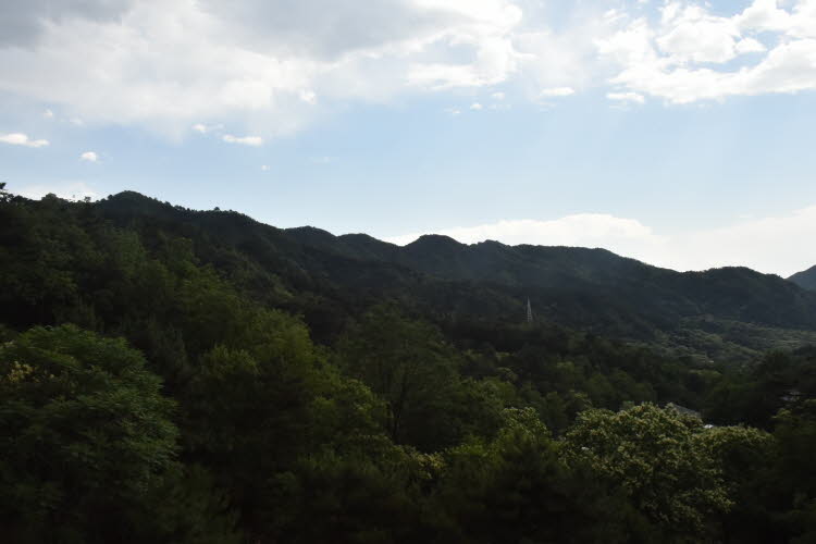 CHN_2911
