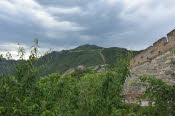 CHN_2917