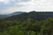 CHN_2926