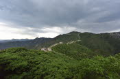 CHN_2929