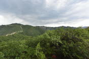 CHN_2933