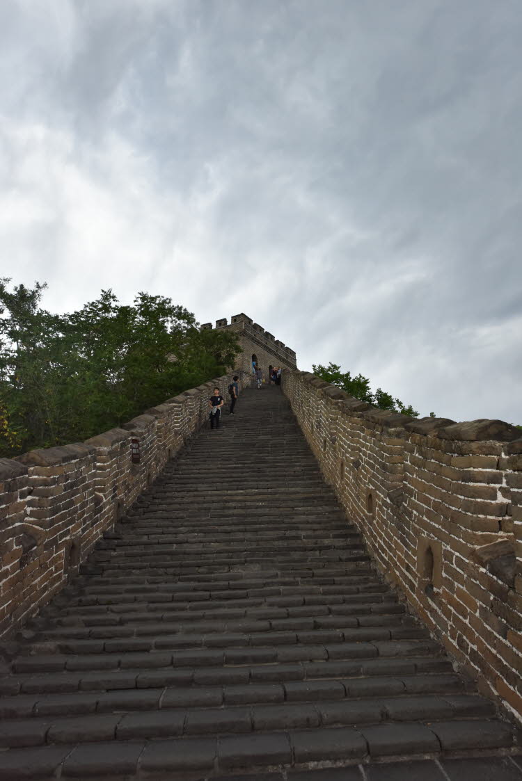 CHN_2952