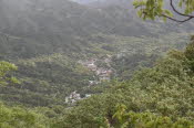CHN_2961