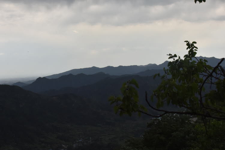CHN_2963