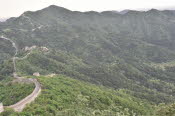 CHN_2970