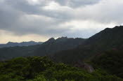 CHN_2971