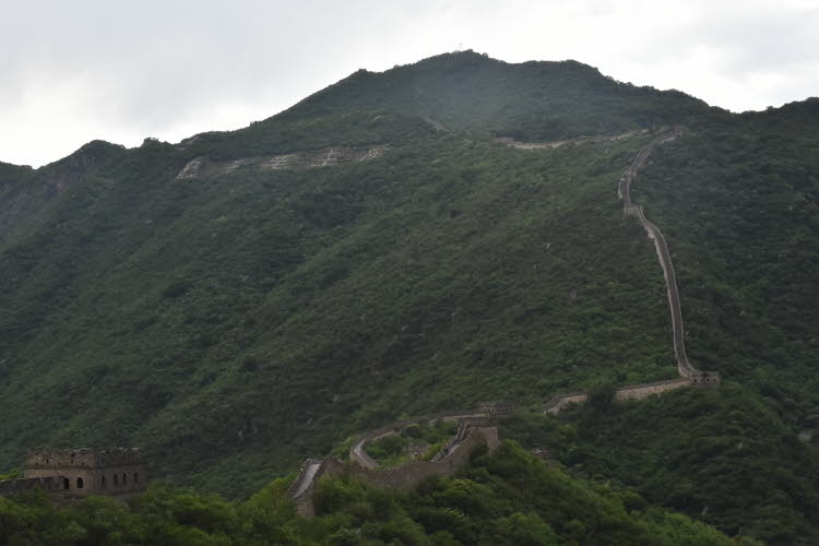 CHN_2973