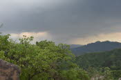 CHN_2977