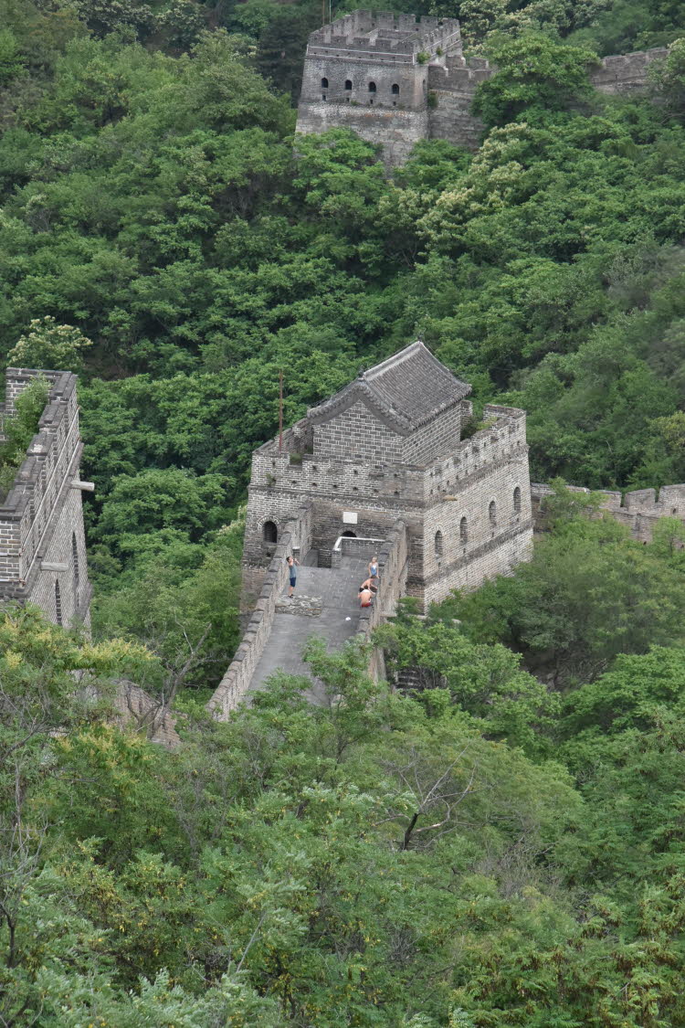 CHN_2978