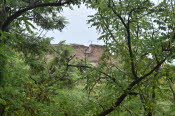 CHN_2984