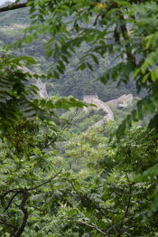 CHN_2986