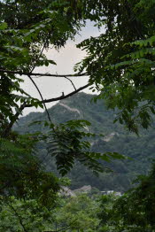 CHN_2987