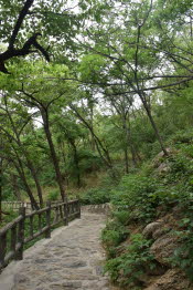 CHN_2990