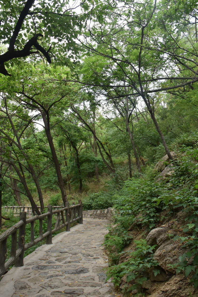 CHN_2990