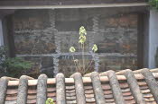 China_2019_0025